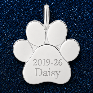 Silver / Paw