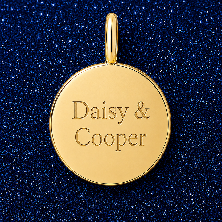 Gold disc charm engraved with two pet names