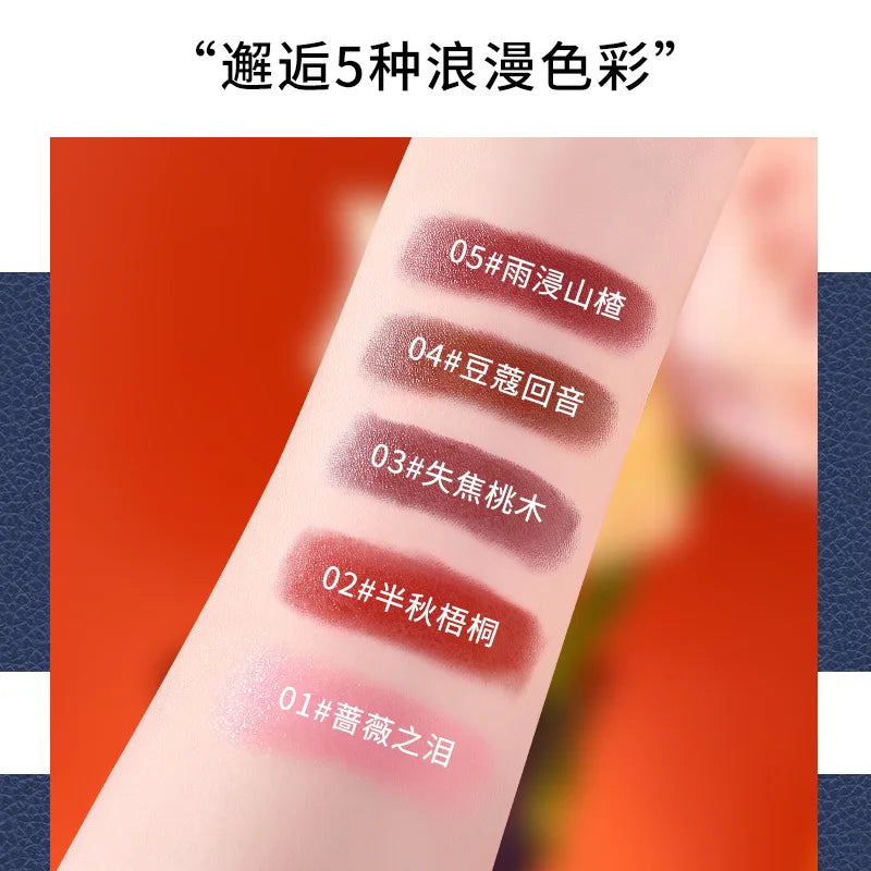 Chain Bag Lipstick Kit Gift Box Velvet Matte Moisturizing for Birthdays and Valentine's Days Gift for Girlfriend