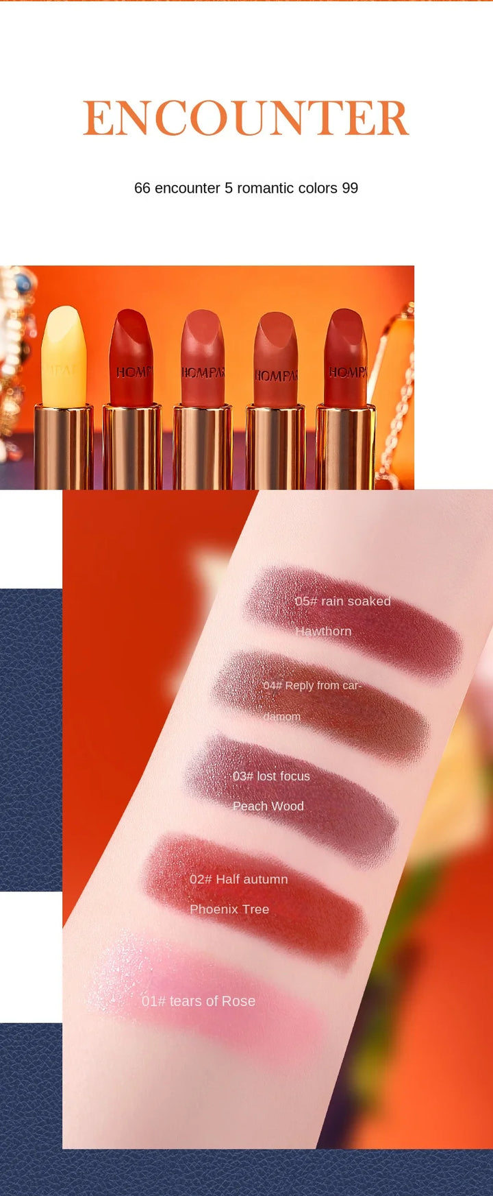 Chain Bag Lipstick Kit Gift Box Velvet Matte Moisturizing for Birthdays and Valentine's Days Gift for Girlfriend