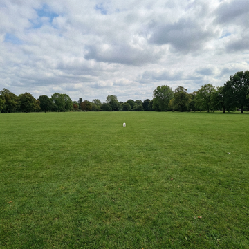 A tiny dog far away in a big park